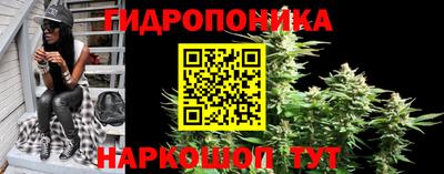 бошки Бийск