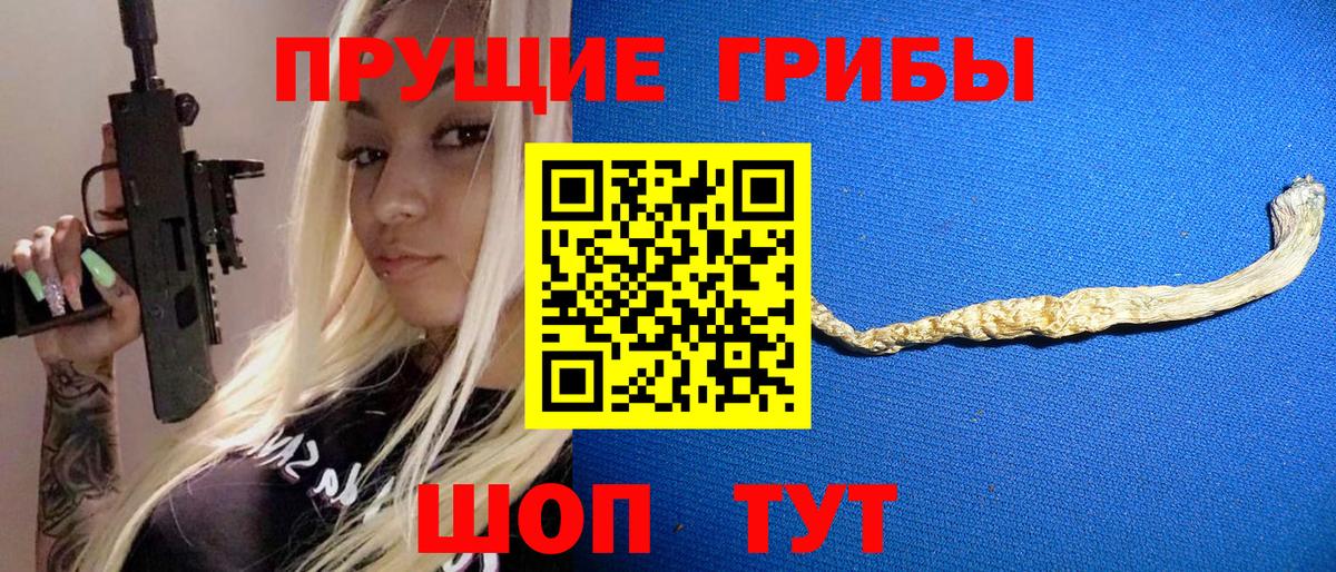 Кандалакша  Псилоцибиновые грибы MAGIC MUSHROOMS  Вход с VPN 
